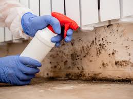 Environmental Consulting for Mold Prevention in Paris, IL